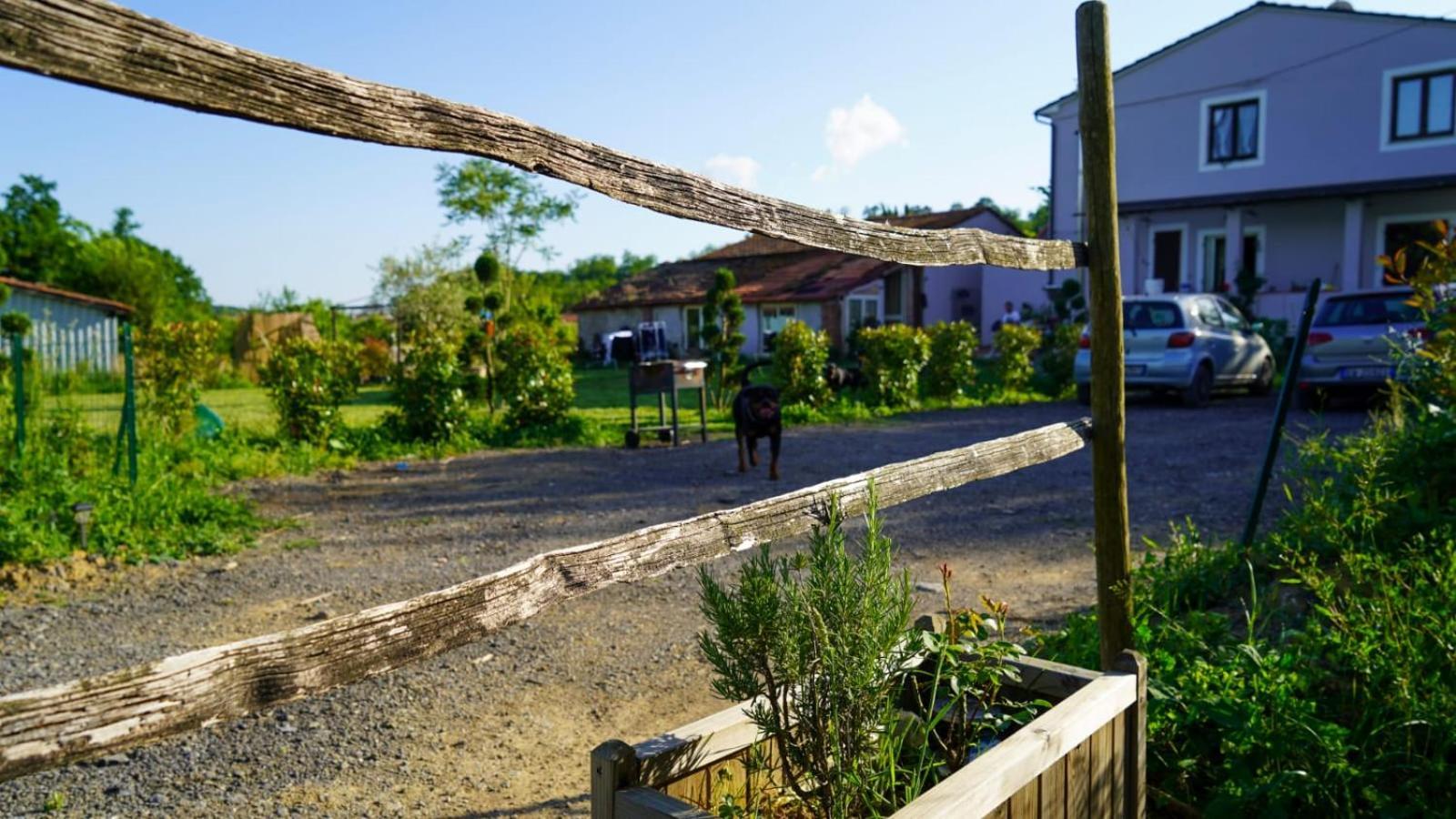 卡潘诺里Wine House住宿加早餐旅馆 外观 照片