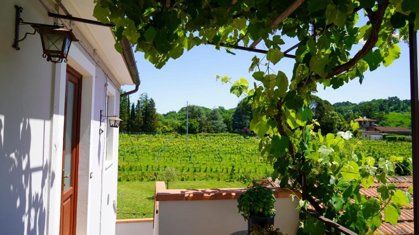 卡潘诺里Wine House住宿加早餐旅馆 外观 照片