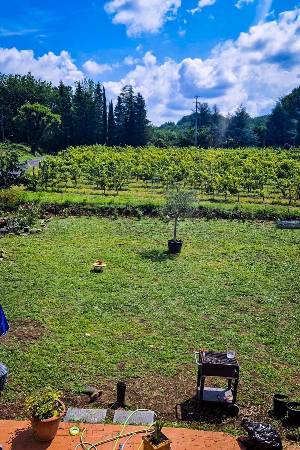 卡潘诺里Wine House住宿加早餐旅馆 外观 照片